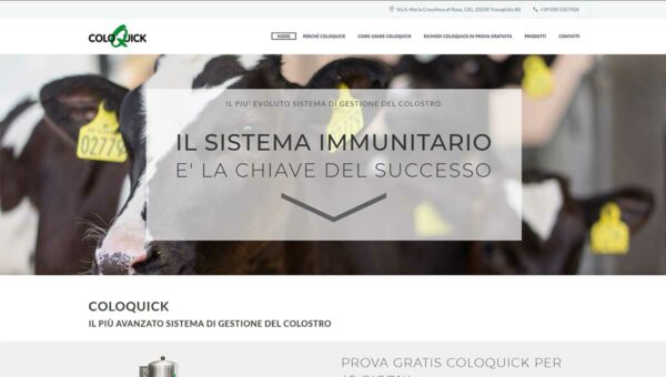 homepage-coloquick