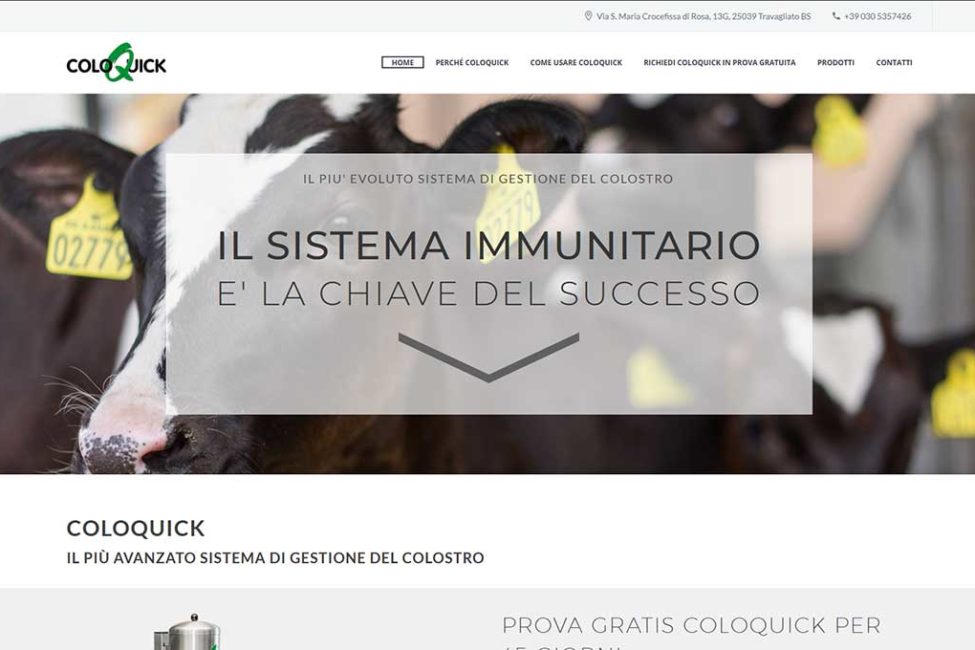 homepage-coloquick